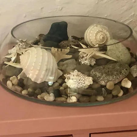 Santa Clara شقة ماسبالوماس